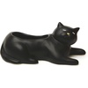 image:imageKikkerland Cosmo The Black Cat Porcelain Planter for Succulents Herbs IndoorOutdoor House Plants Home Garden Decor