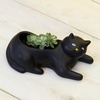 image:imageKikkerland Cosmo The Black Cat Porcelain Planter for Succulents Herbs IndoorOutdoor House Plants Home Garden Decor