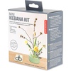 image:imageKikkerland DIY Japanese Flower Arrangement Mini Ikebana Kit Project Ceramic Flower Vase Display with Instructions