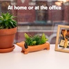 image:imageKikkerland Daisy The Dachshund Porcelain Dog Planter  Small Pot for Flowers Succulents Plants  Decor for Home Garden or Office