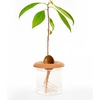 image:imageKikkerland Eco Friendly Terracotta Growing Seed Starter Sprouters Germination Plant Plates IndoorOutdoor Plants