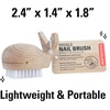 image:imageKikkerland HandCrafted MultiPurpose Beechwood Whale Scrub Brush  Supplies for Manicures and Pedicures Hand Washing Vegetable Scrubbing  Nautical Decor Bathroom Essentials