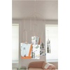 image:imageKikkerland Hanging Photo Display  Picture Collage for Bedroom Decor amp Wall Art  Customizable GiftFan