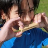 image:imageKikkerland Huckleberry Grass Whistle Natural Bamboo Musical Instrument Ultralight Backpacking Accessory Easy to Carry For Kids amp Adults