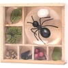 image:imageKikkerland Huckleberry My Little Museum Bug Box Collection Observation Bug House 7 Compartments inBuilt Magnifying Lenses for Insect Collecting