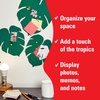 image:imageKikkerland Set of 3 Monstera Leaf Cork Board  Bulletin Board with SelfAdhesive  Decorative Display for Home and Office