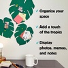 image:imageKikkerland Set of 3 Monstera Leaf Cork Board  Bulletin Board with SelfAdhesive  Decorative Display for Home and Office