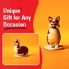 image:imageKikkerland Solar Powered Albert Einstein Figurine Fun Decor for Home amp Kitchen Office Desk Garden Car  Great Novelty Toy Statue Display Shelf Collectible Holiday amp Birthday GiftCorgi