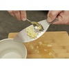 image:imageKikkerland Stainless Steel Fish Shape Handheld Garlic Crusher Mincer Press Kitchen Tool Dishwasher Safe