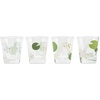 image:imageKikkerland Tequila Shots Green Cactus Glass Shot Glasses Shooters Set of 4 1oz capacity for Party Supplies Southwest ThemeModern