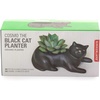 image:imageKikkerland Cosmo The Black Cat Porcelain Planter for Succulents Herbs IndoorOutdoor House Plants Home Garden Decor