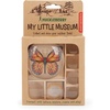 image:imageKikkerland Huckleberry My Little Museum Bug Box Collection Observation Bug House 7 Compartments inBuilt Magnifying Lenses for Insect Collecting