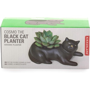image:imageKikkerland Cosmo The Black Cat Porcelain Planter for Succulents Herbs IndoorOutdoor House Plants Home Garden Decor