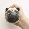image:imageKikkerland Dog Stress Balls  Assorted Faces