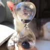 image:imageKikkerland Magnetic Hourglass Timer  Elegant Relaxing Decor for Home amp Office  1 Minute Timekeeper with Hidden Magnet amp Wooden Base