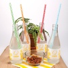 image:imageKikkerland Rainbow Reusable StrawsRegular Pack of 2