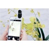 image:imageKikkerland Phone Lens Kit Set of 3