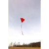 image:imageKikkerland Huckleberry Red Kite