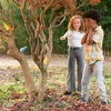 image:imageKikkerland Huckleberry Where is My Hat Game for Family and Friends