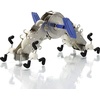 image:imageKikkerland Wind Up Le Pinch  Cute Wind Up Pet for Office Desk  Trinkets for Stocking Easter Basket or Gift Bag