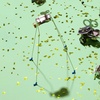 image:imageKikkerland Windup Critter  Cute Wind Up Pet for Office Desk  Trinkets for Stocking Easter Basket or Gift Bag