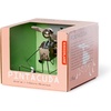image:imagePintacuda Windup Colors May Vary