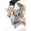 image:imageKikkerland 3D Dinosaurs Collectable Playing Cards Lenticular Playing Cards Pterodactyl to TRex Perfect for Patience Poker Bridge or Whist