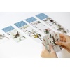 image:imageKikkerland 3D Lenticular Bird Pokersize Deck 54pc Standard Index Waterproof Novelty Playing Cards