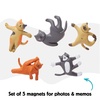 image:imageKikkerland Cat Yoga Magnet Set of Five  Fun Decor for Home Office amp Classroom  Gifts for Holidays amp Events