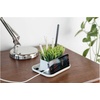 image:imageKikkerland Potted Pen Phone Stand SC25