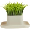 image:imageKikkerland Potted Pen Phone Stand SC25