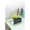 image:imageKikkerland Potted Pen Phone Stand SC25