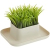 image:imageKikkerland Potted Pen Phone Stand SC25