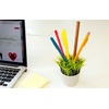 image:imageKikkerland Potted Pen Stand SC24Green