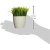 image:imageKikkerland Potted Pen Stand SC24Green