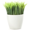 image:imageKikkerland Potted Pen Stand SC24Green