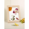 image:imageKikkerland Huckleberry Pressed Flower Frame 1 EA