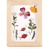 image:imageKikkerland Huckleberry Pressed Flower Frame 1 EA