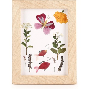 image:imageKikkerland Huckleberry Pressed Flower Frame 1 EA