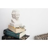 image:imageKikkerland Ceramic Desktop Halloween Decorative Skull Coin Piggy Bank Money Saver BoxEinstein