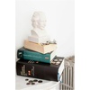 image:imageKikkerland Ceramic Desktop Halloween Decorative Skull Coin Piggy Bank Money Saver BoxEinstein