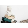 image:imageKikkerland Ceramic Desktop Halloween Decorative Skull Coin Piggy Bank Money Saver BoxEinstein