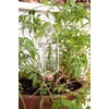 image:imageKikkerland Hand Blown Glass Self Watering Stake for Potted Plants Water from a Crystal Indoor Outdoor Gardening
