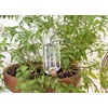 image:imageKikkerland Hand Blown Glass Self Watering Stake for Potted Plants Water from a Crystal Indoor Outdoor Gardening