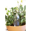 image:imageKikkerland Hand Blown Glass Self Watering Stake for Potted Plants Water from a Crystal Indoor Outdoor Gardening