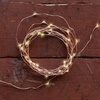 image:imageKikkerland String Lights Battery Operated MulticolorCopper