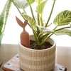 image:imageKikkerland Terracotta Vacation Automatic Plant SelfWatering Slow Release Stake IndoorOutdoor Home Garden Tool