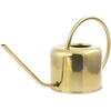 image:imageKikkerland Can Watering Vintage