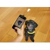 image:imageKikkerland Dog Treat Selfie Clip