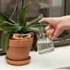 image:imageKikkerland Handheld Glass Mister Mist Spray Bottle Watering Can IndoorOutdoor Plant Garden Home